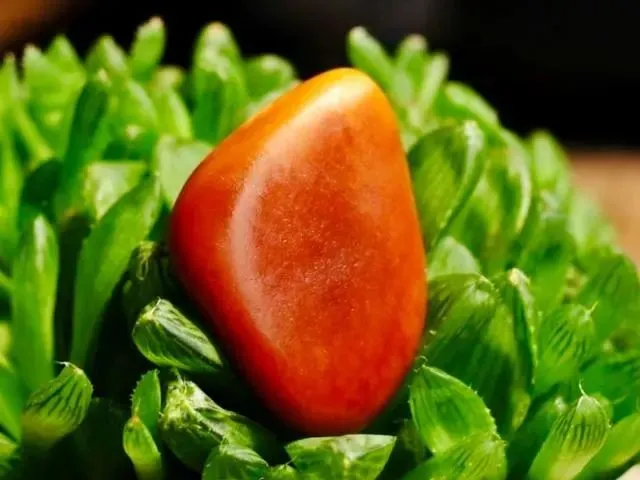 &ldquo;不友好&rdquo;的和田玉！大坑套小坑的五大奇葩玉种